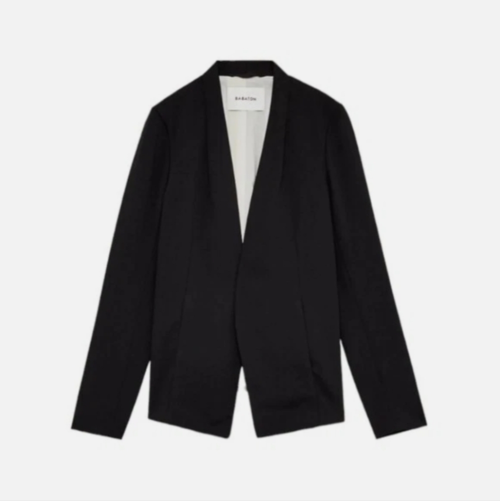 Aritzia Babaton Keith Blazer
